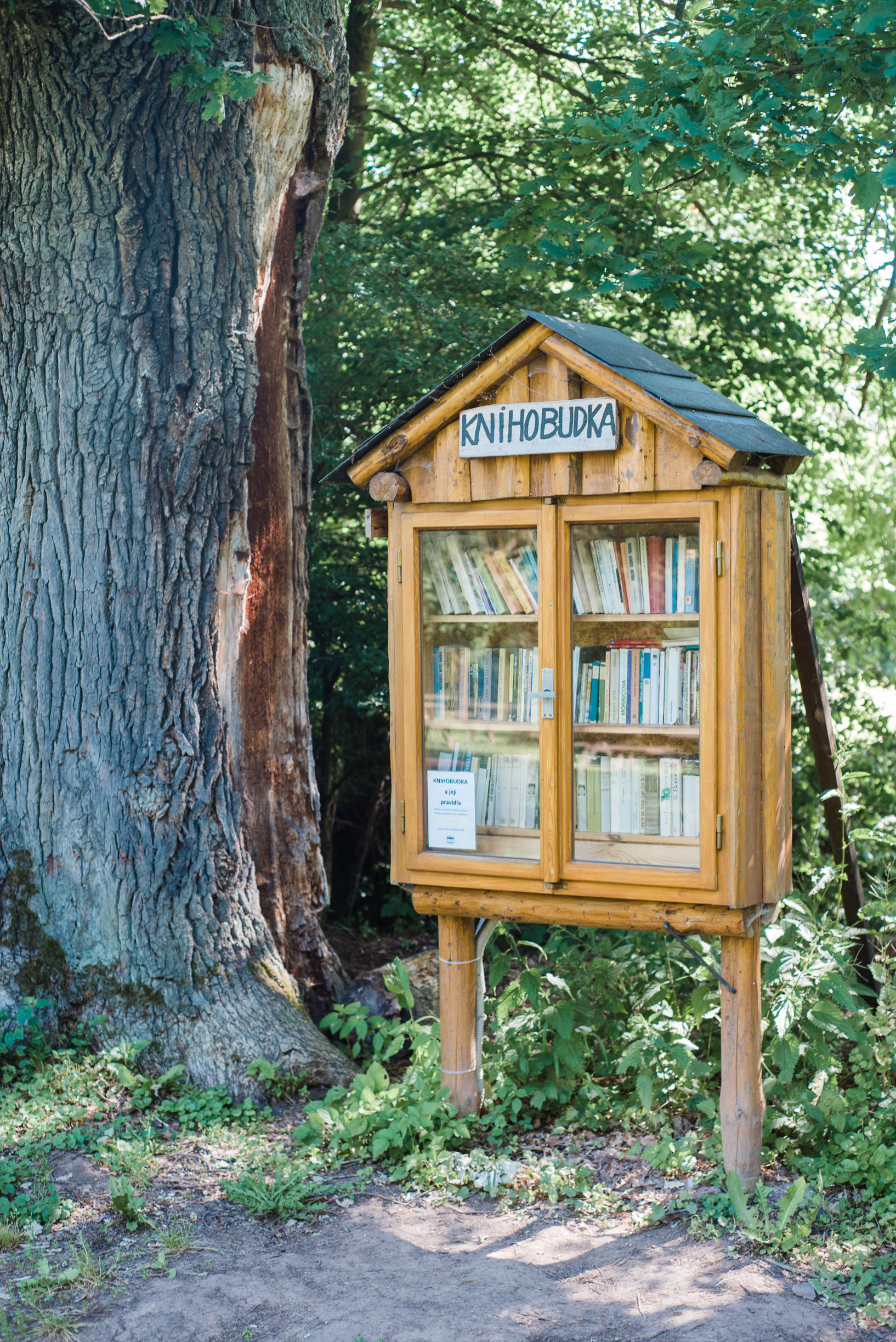 Outdoor bookcase on sale